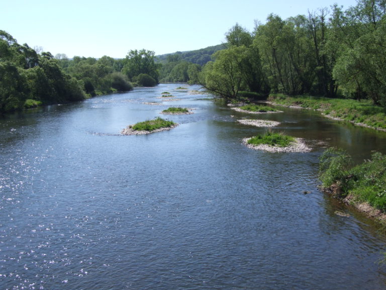 anraff_die_renaturierte_eder_nahe_des_dorfes Flussabschnitt der renaturierten Eder. (Foto: Uli Klein)