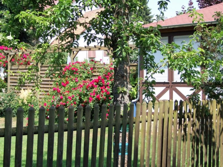 Blütenpracht in einem Garten. (Foto: Uli Klein)