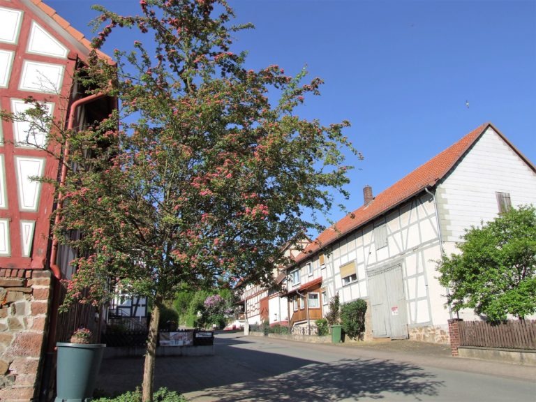 Die Fünfseenblick Straße. (Foto: Uli Klein)