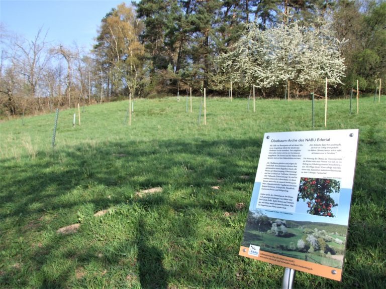 Natur- und Artenschutz am Sengelsberg. (Foto: Uli Klein)