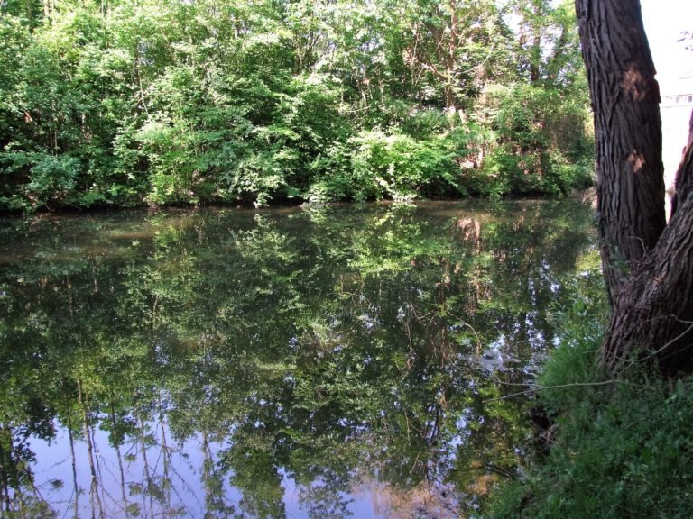 Ein idyllisches Plätzchen in der Dorfmitte: Über viele Jahre hinweg kümmerte sich Karl Dietz und einige Mitstreiter um die Pflege des Mühlengrabens und des Mühlenteiches. (Foto: Klein)
